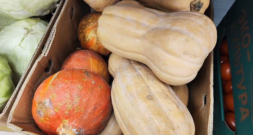 Нежнейшая тыква по-турецки: необычный десерт с оттенком карамели — теперь готовлю только так