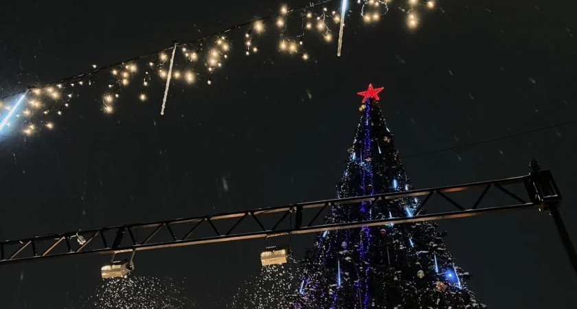 Четвероклассник из Ухты поучаствует в Кремлевской ёлке