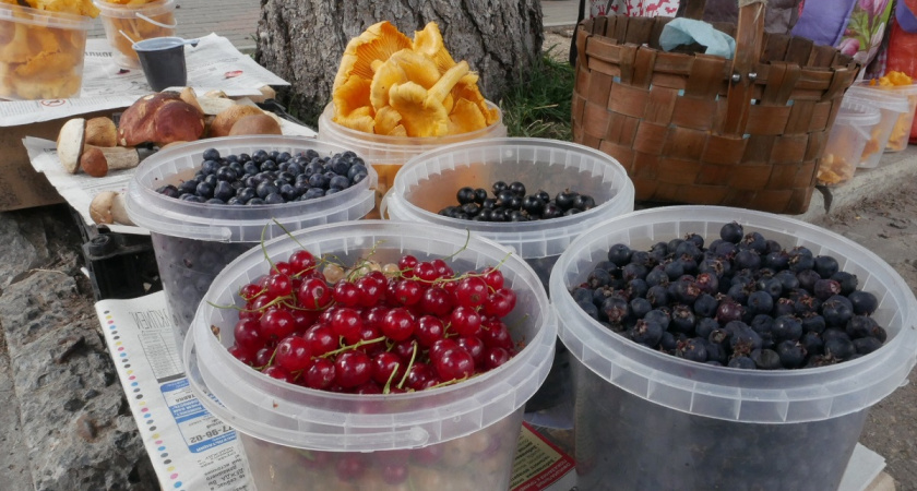 Эта ягода защищает от раннего старения — по 50 граммов в день. Дарит суточную норму марганца, калия и незаменимых витаминов