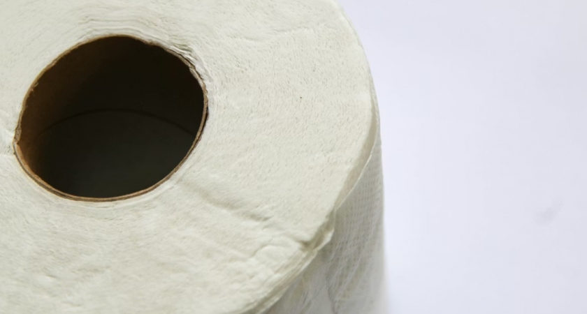 Кипячу туалетную бумагу — и все, угощение на 3 дня готово: оценили все тараканы и их соседи