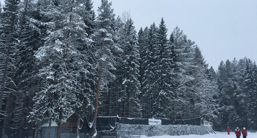 «Январь и февраль дадут нам прикурить». Синоптики рассказали, к чему готовиться