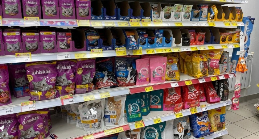 Роскачество назвало самые полезные влажные корма для кошек. Результаты удивили