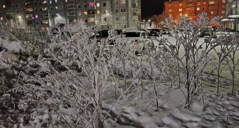 Аномальные морозы ударят без предупреждения: Вильфанд объявил, каким регионам пора приготовиться