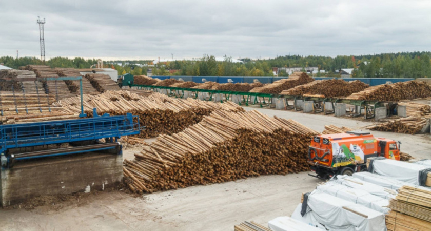 В Коми рост производства древесины опережает спрос