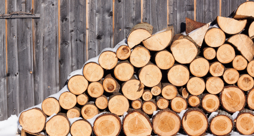 Не ждите полгода: как высушить дрова в разы быстрее без специального оборудования