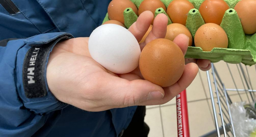Коричневые или белые: вся правда о цвете яиц и цене на них