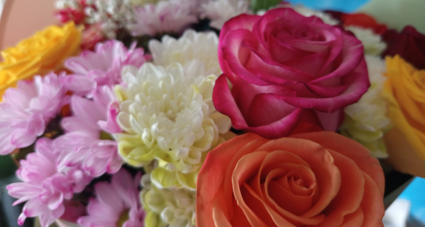 Жительница Ухты, надеясь получить цветы на день рождения, лишилась 300 тысяч рублей