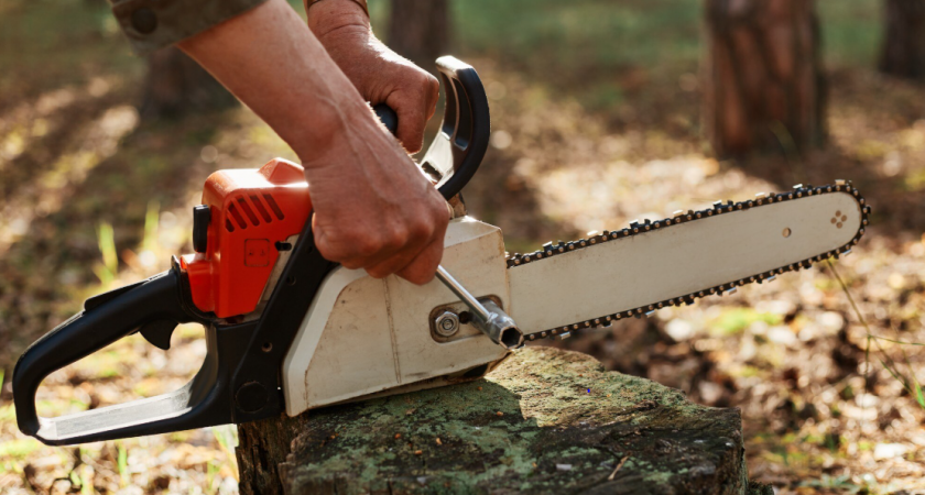 Забыл про болгарку и напильник: как за 5 минут качественно наточить цепь от бензопилы