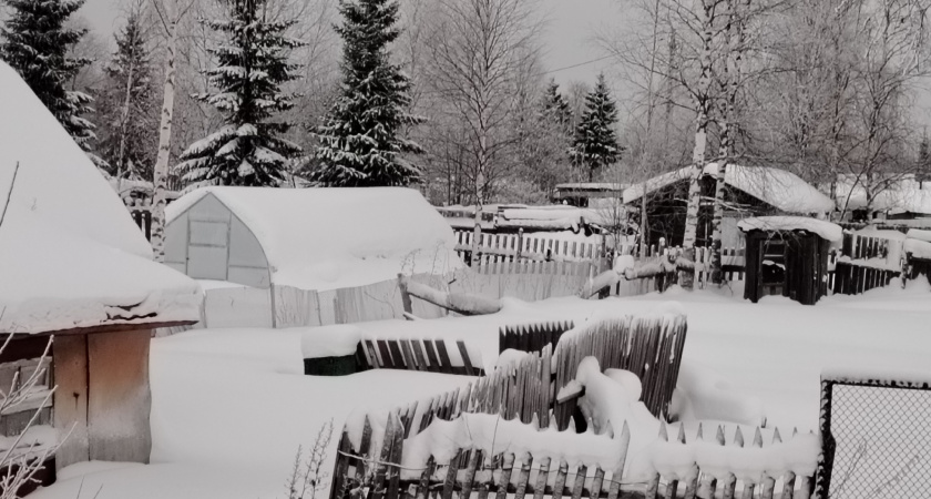 Как сохранить теплицу в идеальном состоянии до весны: зимний уход и ремонт — лайфхаки от опытных дачников