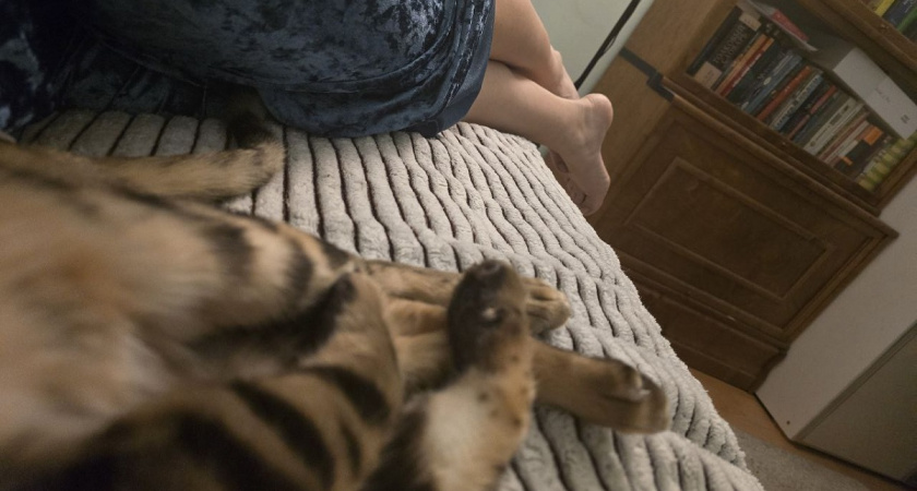 Понимает ли кошка, что человек спит: вот как она это чувствует - заставляет задуматься