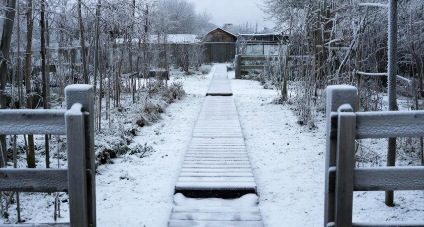 Бетон и плитка - уже прошлый век: нашел новый способ сделать садовую дорожку - просто прибил доски к трубам. Такой точно ни у кого нет