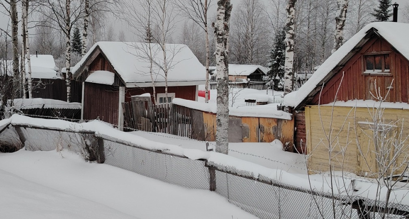 Получается, дачам всё: почему с этого года больше нет смысла иметь домик в деревне - реальная картина