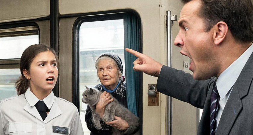 Пассажир потребовал, чтобы я выгнала бабушку с котом, потому что у него «аллергия на нищету». Пришлось звать начальника поезда