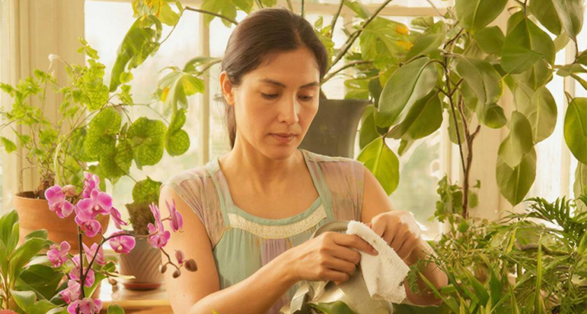 Комнатные цветы зажили второй жизнью, когда я воткнула в горшки то, что все ищут в коробке на кухне