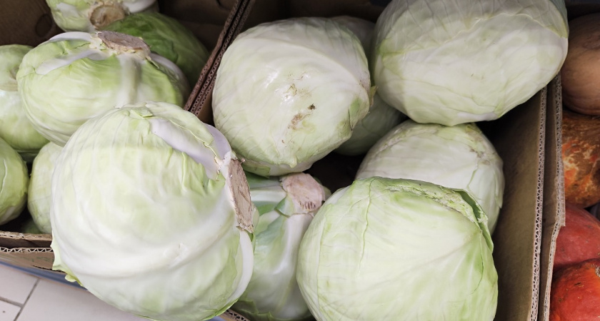 Жарю белокочанную капусту только так – никто не понимает, из чего блюдо, но сметают до последнего кусочка