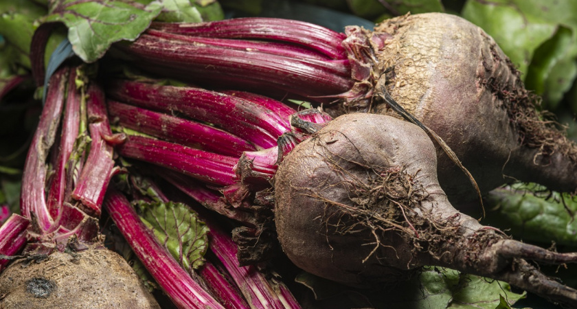 Свеклу и морковь сажаю только эти сортов - сочная мякоть и очень сладкие: вся деревня завидует
