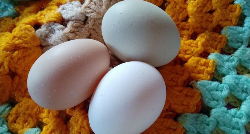 Три продукта, с которыми яйца становятся тяжёлыми - стоит запомнить