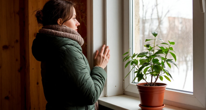 Уезжаете на выходные? Вот три вещи, которые обязательно нужно сделать для цветов – иначе завянут
