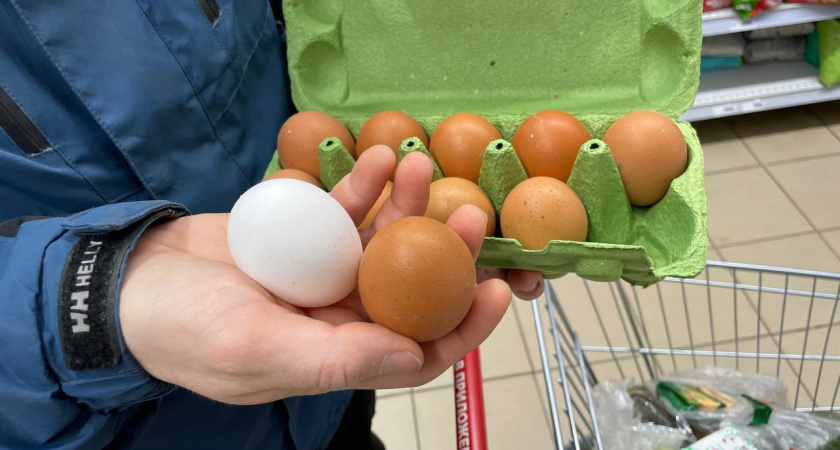 Обходят за версту: почему работники магазинов и птицефабрик не покупают яйца категории С0 - даже по скидке