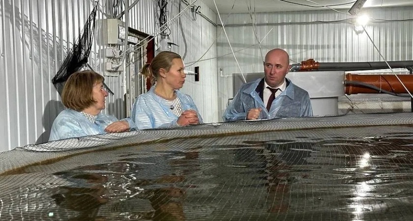 В Коми открылось новое форелевое хозяйство с инновационной системой водоснабжения