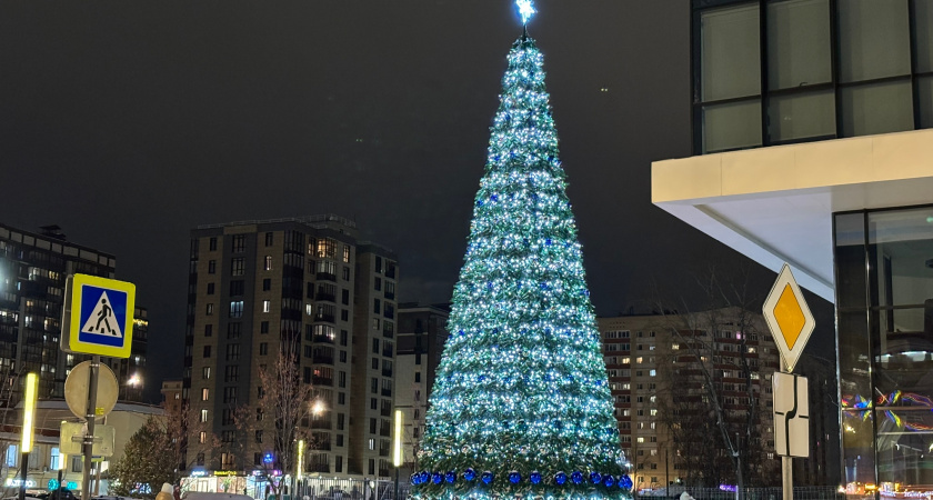 МЧС Коми напоминает о безопасности на новогодних праздниках