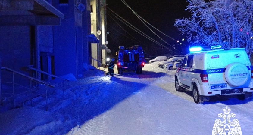 На территории Республики Коми за новогодние сутки ликвидировано около десятка возгораний