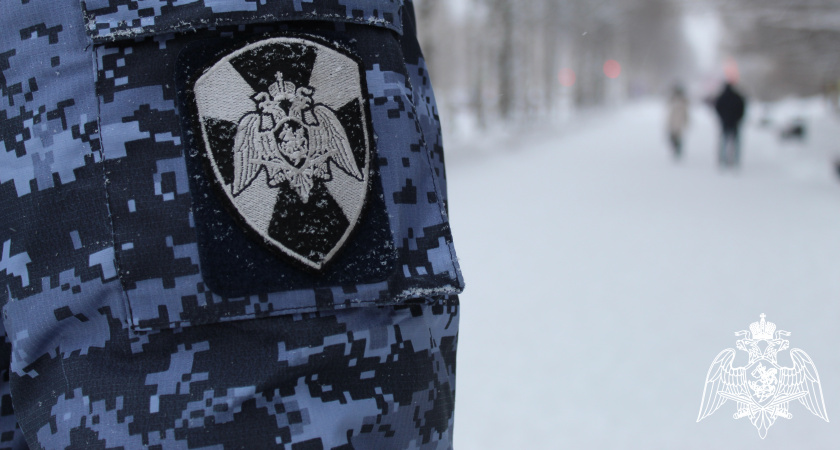 В Республике Коми сотрудники Росгвардии пресекли попытку магазинной кражи