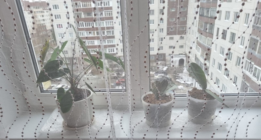 Наклеил за 5 минут и не мерзну: из окон больше не дует, а подоконник теплый всегда - лучшая зимняя хитрость