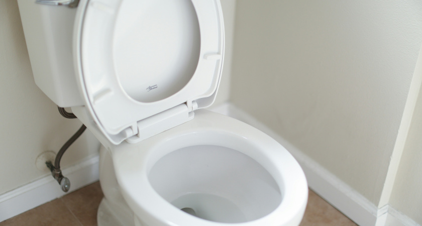 Всего ложку соли в унитаз: пробую лайфхак бывшей горничной – вот что произошло через 10 минут