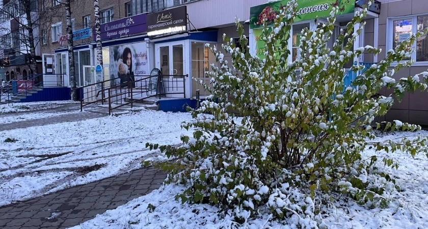 Такой весны на нашем веку еще не было: синоптики назвали даты прихода аномальной жары