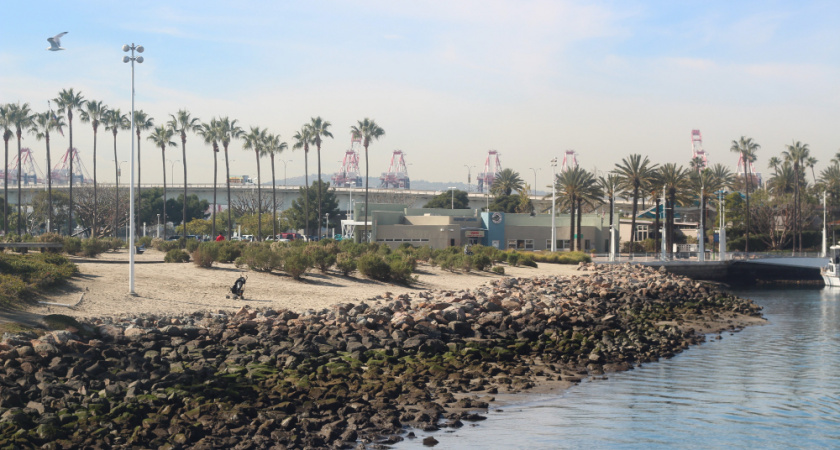 Туристы в шоке: новый курорт на Красном море обманул ожидания отдыхающих россиян