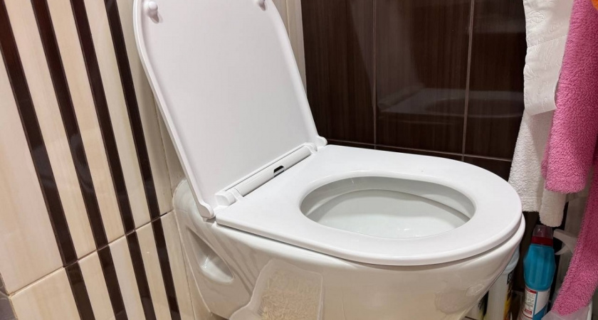 Унитаз очищаю от мочевого камня за считанные минуты — нужны всего пара таблеток: лайфхак от бывалых хозяек