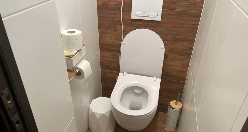 Как почистить унитаз лимонной кислотой и аспирином: безопасный метод