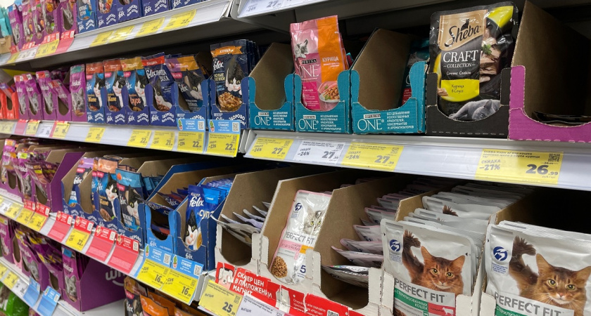 Эксперты Роскачества назвали лучший корм для кошек: не бьет по кошельку и нравится любимцам — берите сразу по 10 пачек