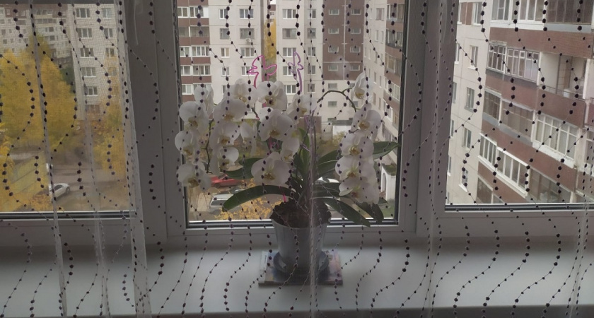 Намазал это на окна — и внутри моментально стало как в бане: тепло держит даже в лютый мороз - ни конденсата, ни сквозняка