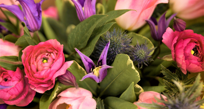 Вместо надоевшей петунии — есть получше: посадите этот многолетник — цветы яркие, аромат на 2 км в округе. Украшение вашего сада