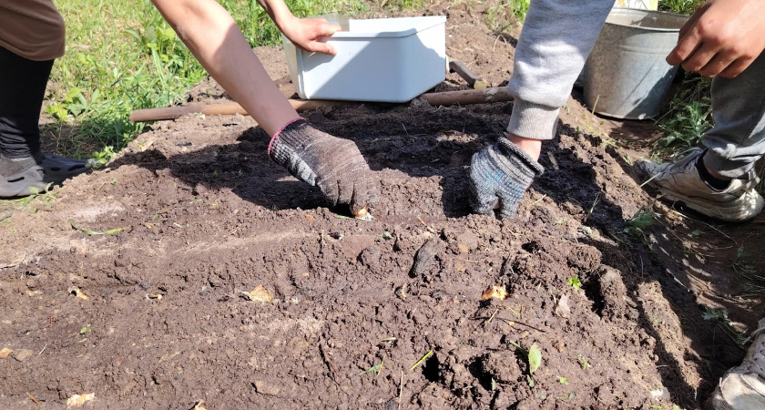 Сыпьте хоть по снегу! Это лучшее, что вы сделаете зимой для сада: ТОП-рейтинг лучших удобрений — какие, сколько и когда нужно