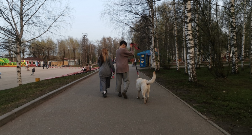 Советы Фрейда для женщин: на что смотреть, выбирая партнёра на всю жизнь - актуально и сегодня