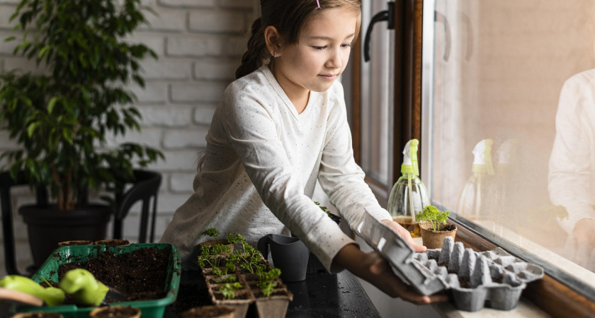 Зимний огород за окном: 7 культур, которые дадут урожай даже на северном балконе в январе