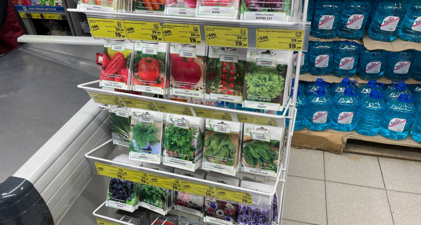 Эти семена отрывают с руками: в 2026-м такой сорт томатов - обязательно к посадке. Урожай будет даже холодным летом