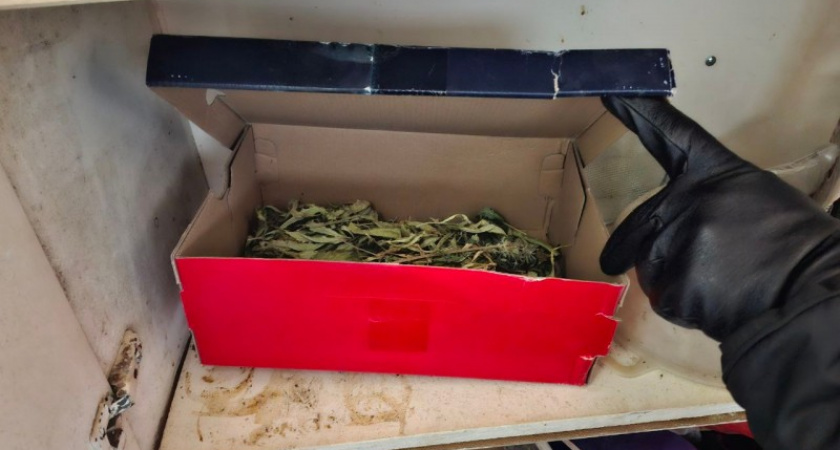 В Коми изъяли более килограмма наркотиков из гаража местного жителя