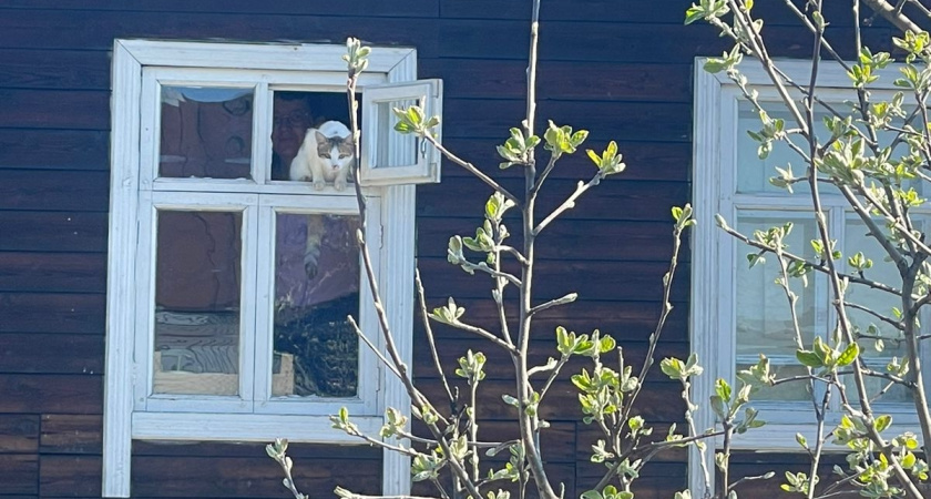 В чем разница между трёхкамерным и двухкамерным окном - об этом молчат производители. Рассказал мастер с 20-летним стажем