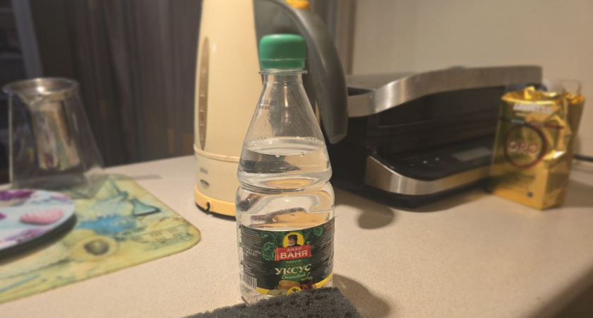 С первым снегом покупаю 3 л уксуса - и не мучаюсь, как городские: поделился старичок из деревни - дома спокойно до весны