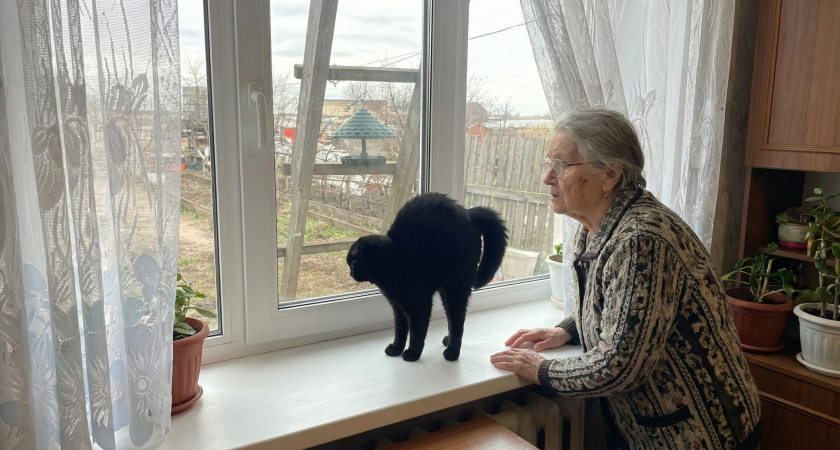 Людям за 60 стоит держаться подальше от кошек: ученые объяснили причины