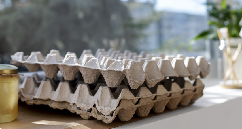 Пустые лотки от яиц больше не выбрасываю: узнала как их можно приспособить и не нарадуюсь - пригодились в прихожей