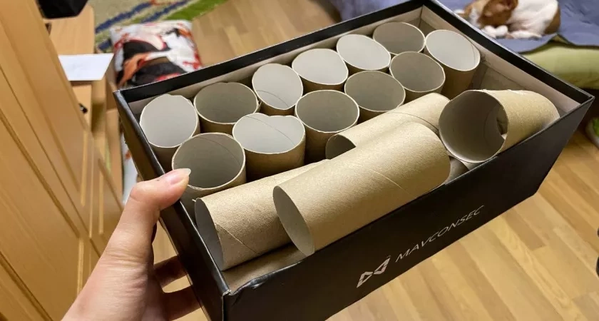 Втулки от туалетной бумаги собираю и храню как зеницу ока: вот как их применяю — полезная вещь в хозяйстве