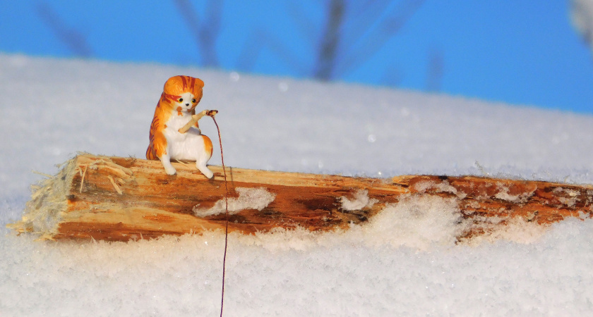 Морозная ночь и снежный день ожидают Коми 28 января