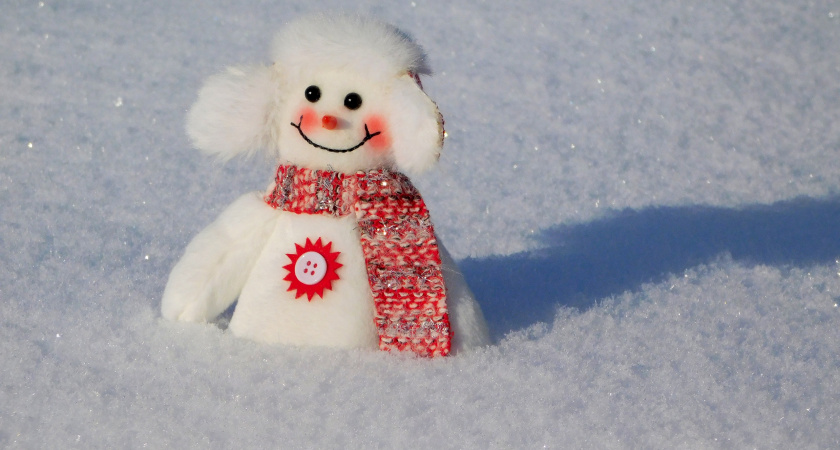 В Коми снова возвращаются сильные морозы