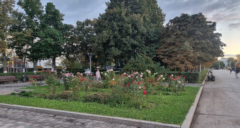 Этот город в России удивляет своим уютом, комфортом и зеленью: нашел его случайно - не могу перестать возвращаться