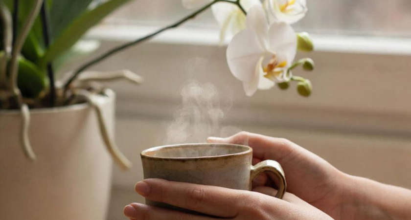 Поливаю орхидеи "неправильно" — а они цветут дольше, пышно и чаще: в горшок сливаю все остатки с кружки